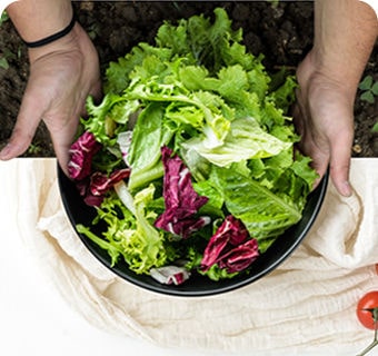 Händer som håller en skål fylld med färska grönsaker på ett bord.