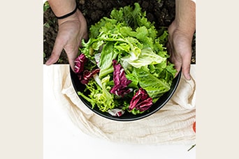 Händer som håller en skål fylld med färska grönsaker på ett bord.