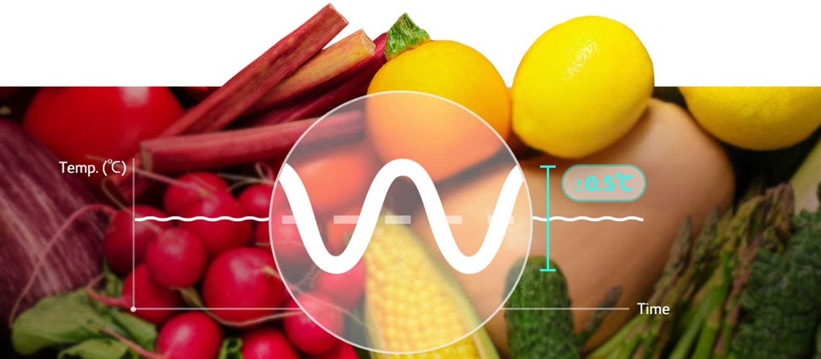 Det finns en graf ovanpå olika grönsaker. Den här grafen visar temperatur, och det finns ingen avvikelse, vilket förklarar att LG Linear Cooling kan minska temperaturskillnaden i kylskåp.
