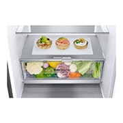 LG 1.86M 341L Kombinerad kyl/frys(Shiny Steel) - Energiklass C, Door Cooling™ och Smart Diagnosis™, ELB81PZVCP1