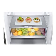 LG 2.03M 384L Kombinerad kyl/frys(Shiny Steel) - Energiklass D, Door Cooling™, GBB72PZEGN