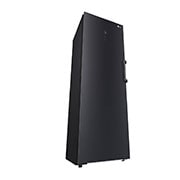 LG 324L Fristående frys (Matte Black) - Energiklass D, Total No Frost, Express Freeze, Smart Diagnosis™ med Wi-Fi, GFM61MCCSF