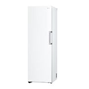 LG 324L Fristående frys (Vit) - Energiklass E, Total No Frost, Express Freeze , GFT41SWGSZ