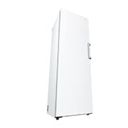 LG 324L Fristående frys (Vit) - Energiklass E, Total No Frost, Express Freeze , GFT41SWGSZ