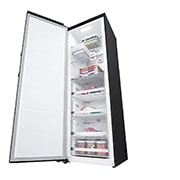 LG 324L Fristående frys (Matte Black) - Energiklass E, Total No Frost, Express Freeze, Smart Diagnosis™, GFT61MCCSZ