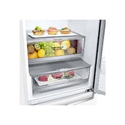 LG 1.86M 341L Kombinerad kyl/frys(Vit) - Energiklass E, Door Cooling™, GBB71SWEMN