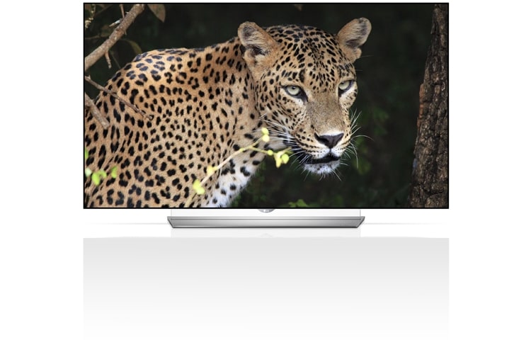 LG OLED TV, 65EF950V