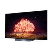 LG B1 55 inch 4K Smart OLED TV, OLED55B16LA