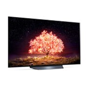 LG B1 55 inch 4K Smart OLED TV, OLED55B16LA