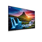 LG OLED 4K TV - 55", OLED55E9PLA