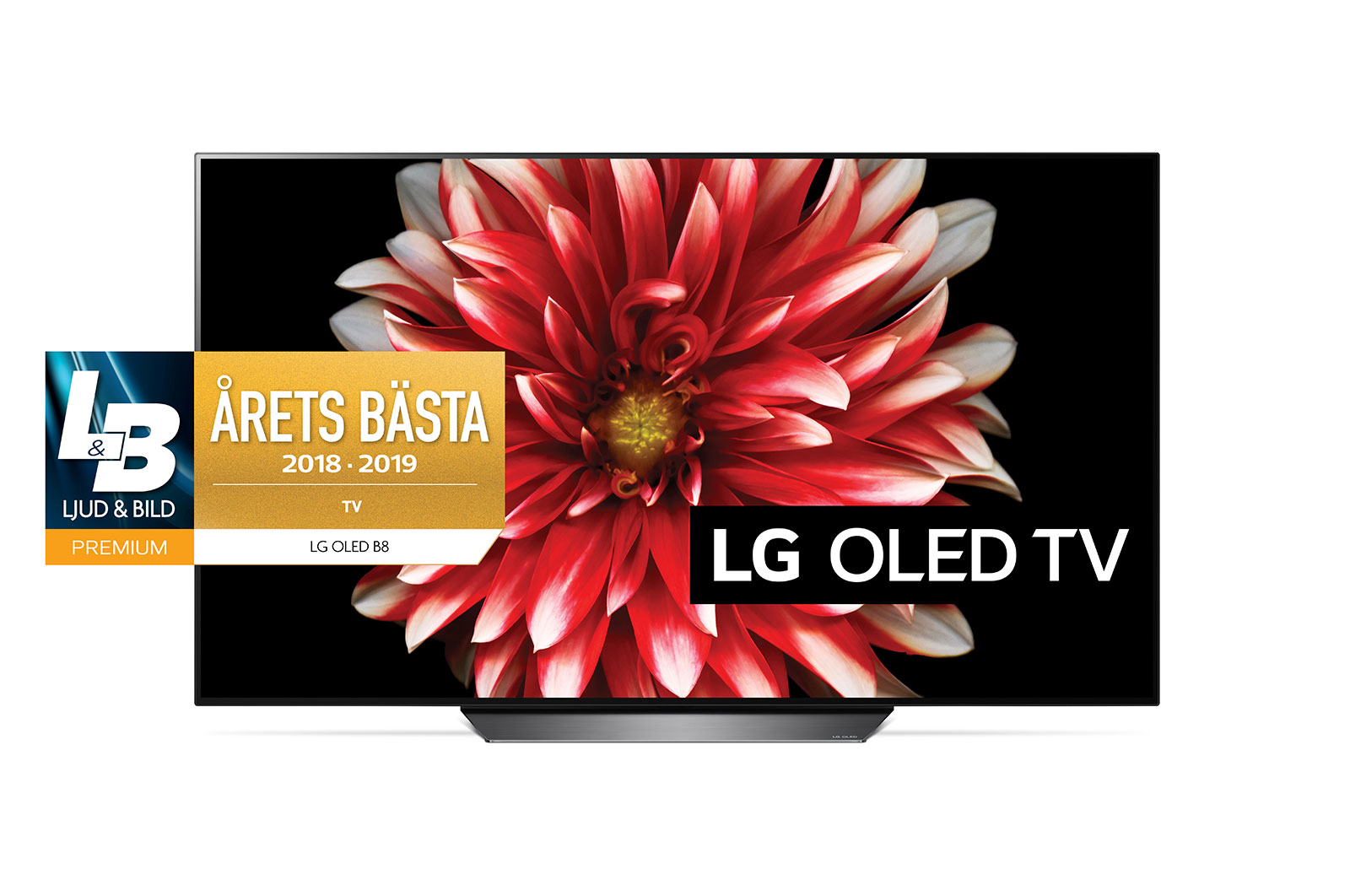 LG OLED 4K TV - 65", OLED65B8PLA
