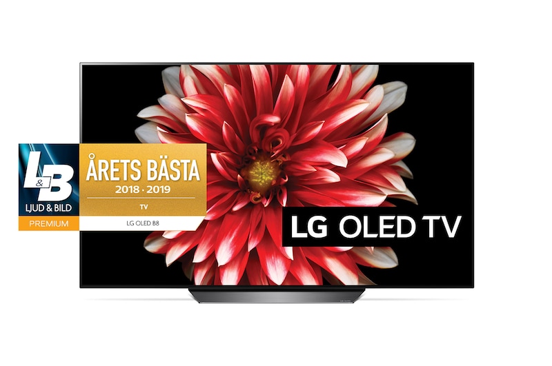 LG OLED 4K TV - 65", OLED65B8PLA