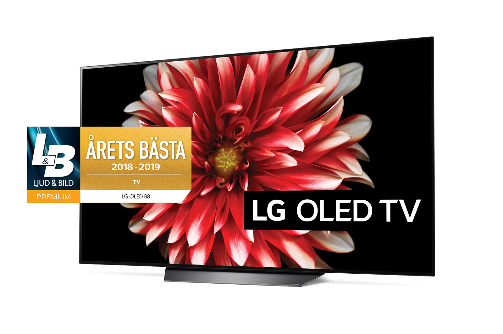 LG OLED 4K TV - 65", OLED65B8PLA