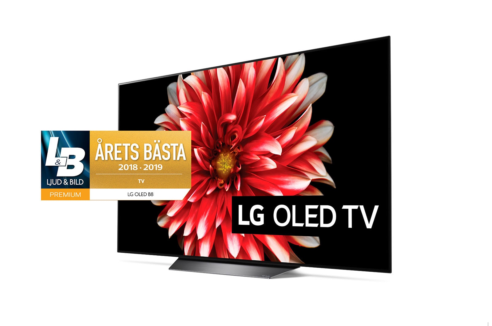LG OLED 4K TV - 65", OLED65B8PLA