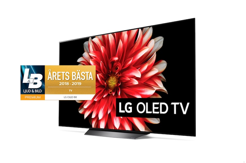 LG OLED 4K TV - 65", OLED65B8PLA