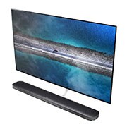 LG SIGNATURE OLED 4K TV - 65", OLED65W9PLA