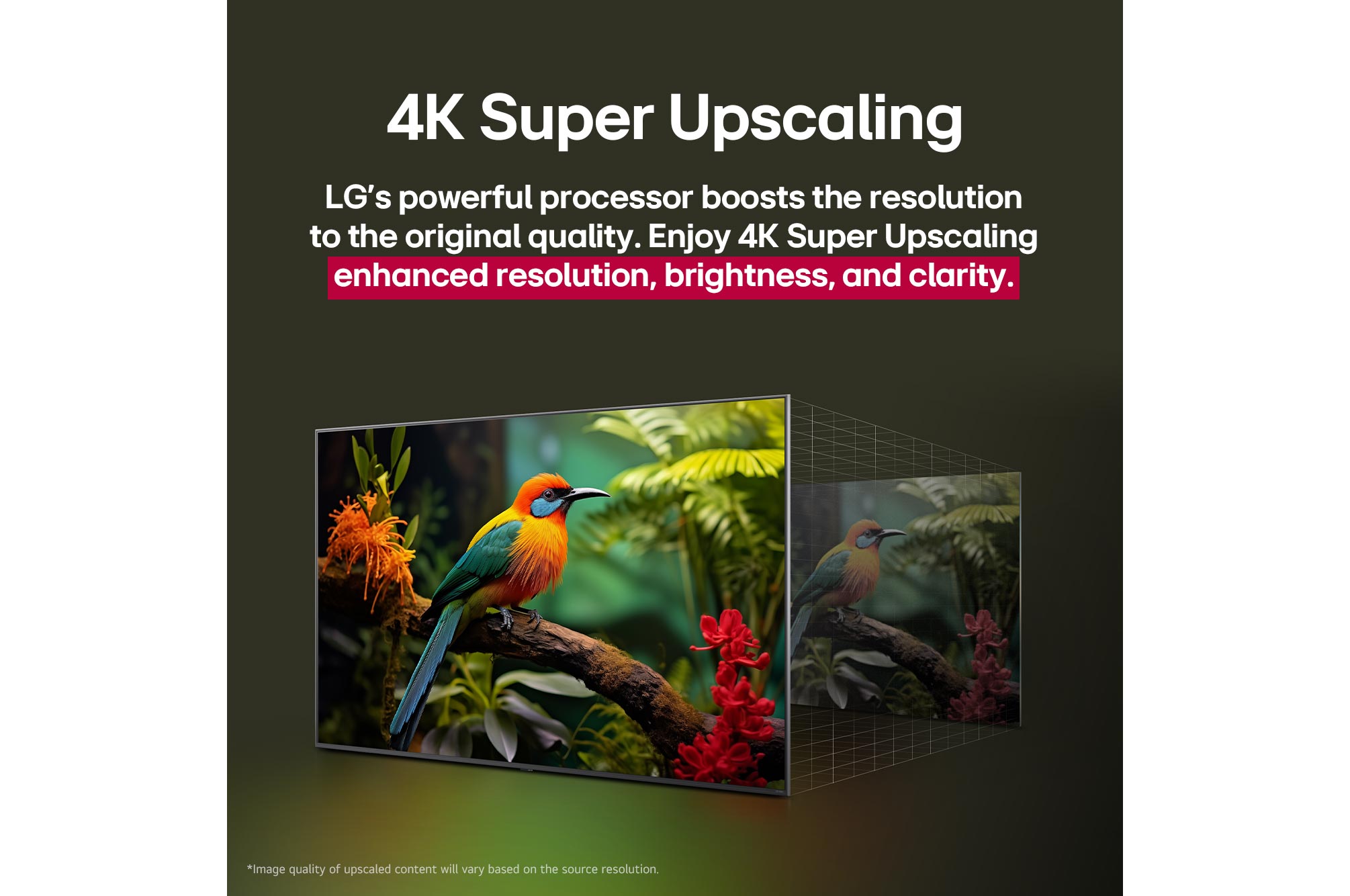 Before and after comparison of how LG 4K Super Upscaling improves image quality. Two panels showing the same image of a colorful bird sitting on a branch in a forest, panel on the right is faded out. The title talks about how 4K Super Upscaling enhances resolution, brightness and clarity.