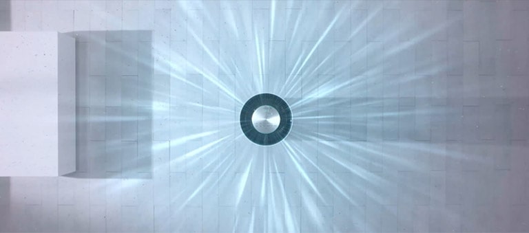 Purify the Air All Around You