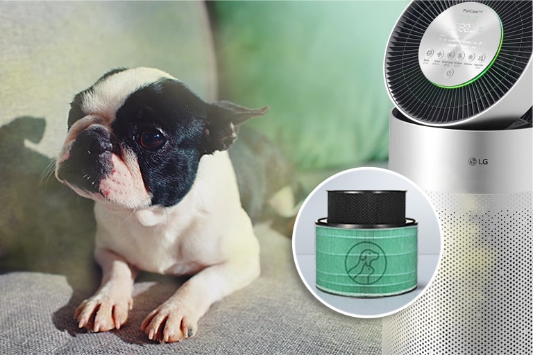 Lose the Smell, Keep the Pet