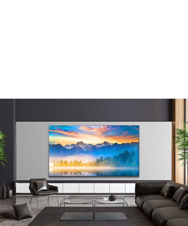 TV showing an eye level view of nature in a luxurious house setting