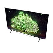 LG A1  65" OLED 4K TV, OLED65A1PTA