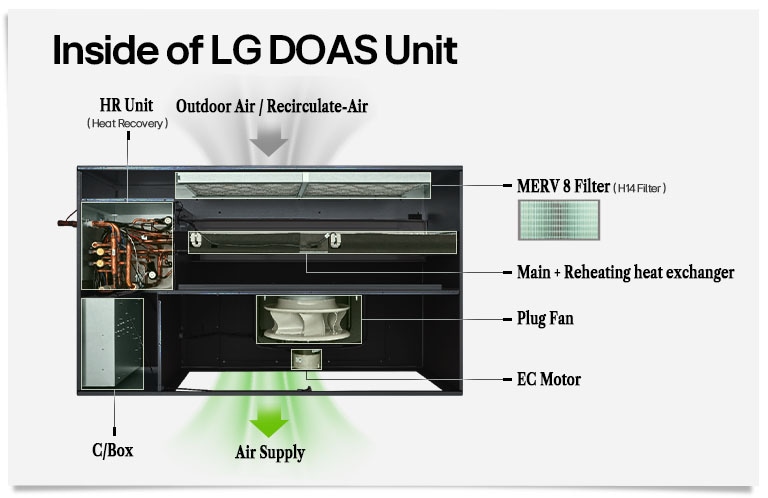 Heat Recovery Ventilation (HRV) system with MERV 8 filter, air supply, plug fan, EC motor, and heat exchanger.