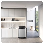 LG 8KG Top Load Washing Machine, Gray, T2108NT1G