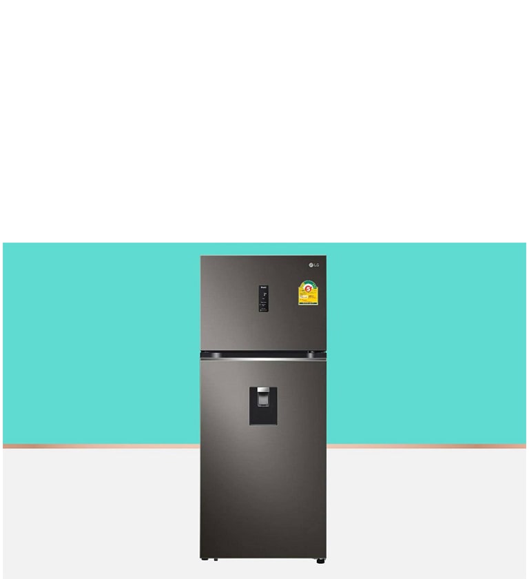 ตู้เย็น 2 ประตู LG
