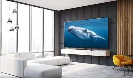 รูปวาฬอยู่ในจอทีวี