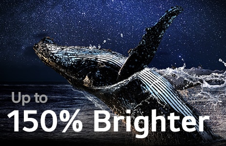 วาฬกระโดดขึ้นจากน้ำท่ามกลางท้องฟ้ายามค่ำคืนที่เต็มไปด้วยดวงดาว เหนือวาฬมีข้อความว่า "สว่างขึ้นสูงสุด 150%"