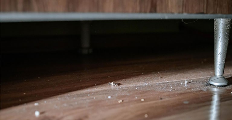 เครื่องดูดฝุ่นไม่มีแรงดูด