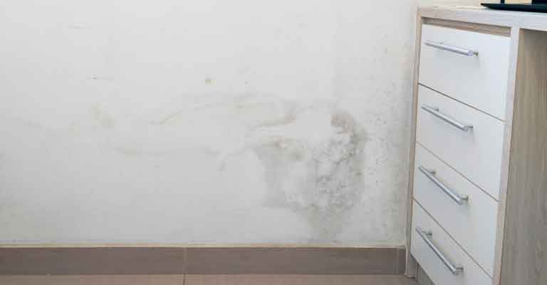 เชื้อราในห้องนอน