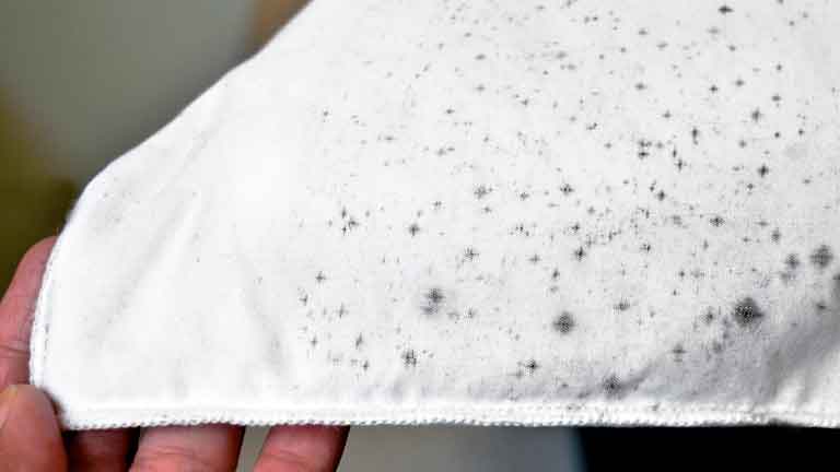 เสื้อผ้าขึ้นราแก้ยังไง