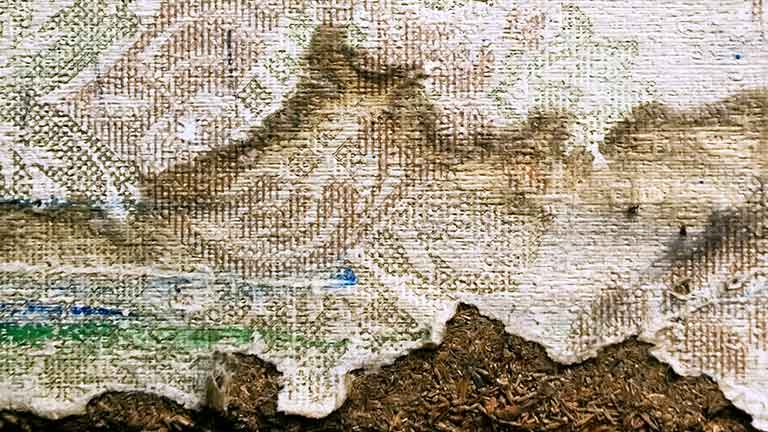 วอลเปเปอร์ขึ้นรา