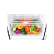 LG ตู้เย็น 2 ประตู รุ่น GN-B272SQCB ขนาด 9.2 คิว ระบบ Smart Inverter Compressor, GN-B272SQCB