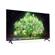 LG OLED 4K Smart TV รุ่น OLED55A1 | Self Lighting | Dolby Vision & Atmos | LG AI ThinQ  |  Google Assistant, OLED55A1PTA