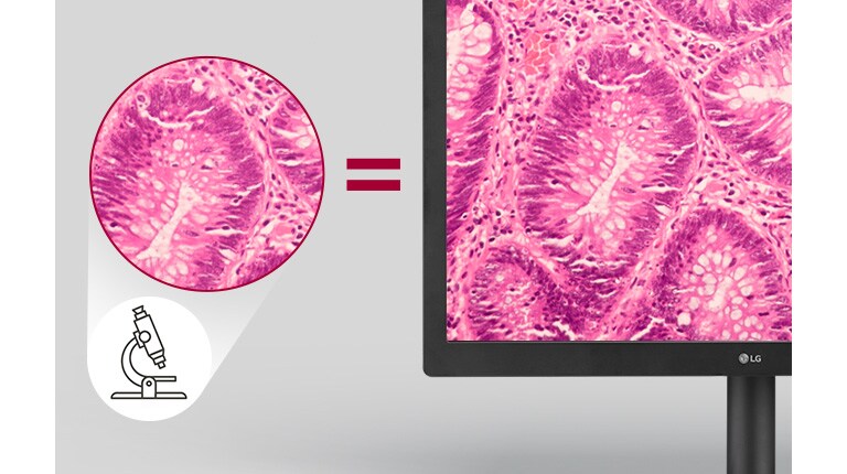 Aynen Mikroskopa Bakmak Gibi