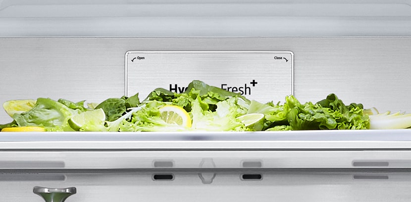 Buzdolabının içindeki Metal Fresh etiketinin yakından görünümü.