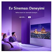 LG QNED86 55 inç 4K Smart MiniLED TV, 55QNED866QA