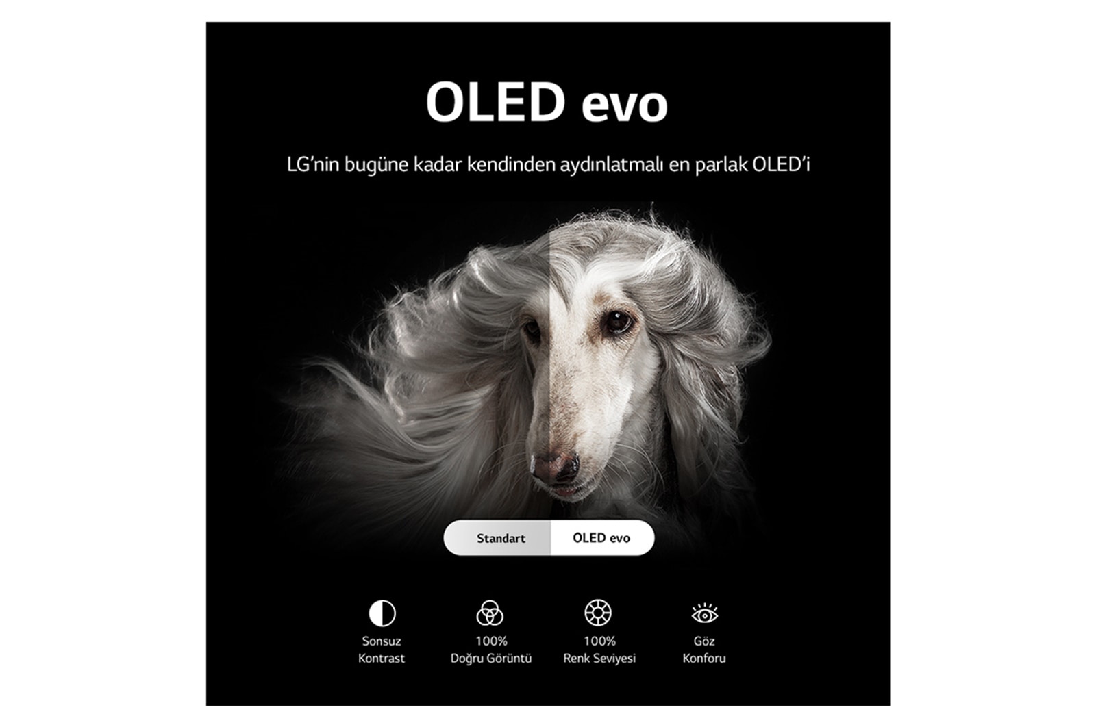 LG OLED evo C2 42 inç 4K OLED Smart TV, OLED42C24LA