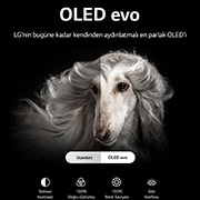 LG OLED evo C2 42 inç 4K OLED Smart TV, OLED42C24LA