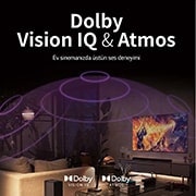 LG OLED 55 inç CS Serisi 4K Smart TV, OLED55CS6LA