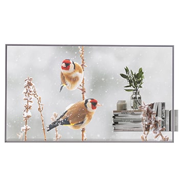 填充影像的正視圖