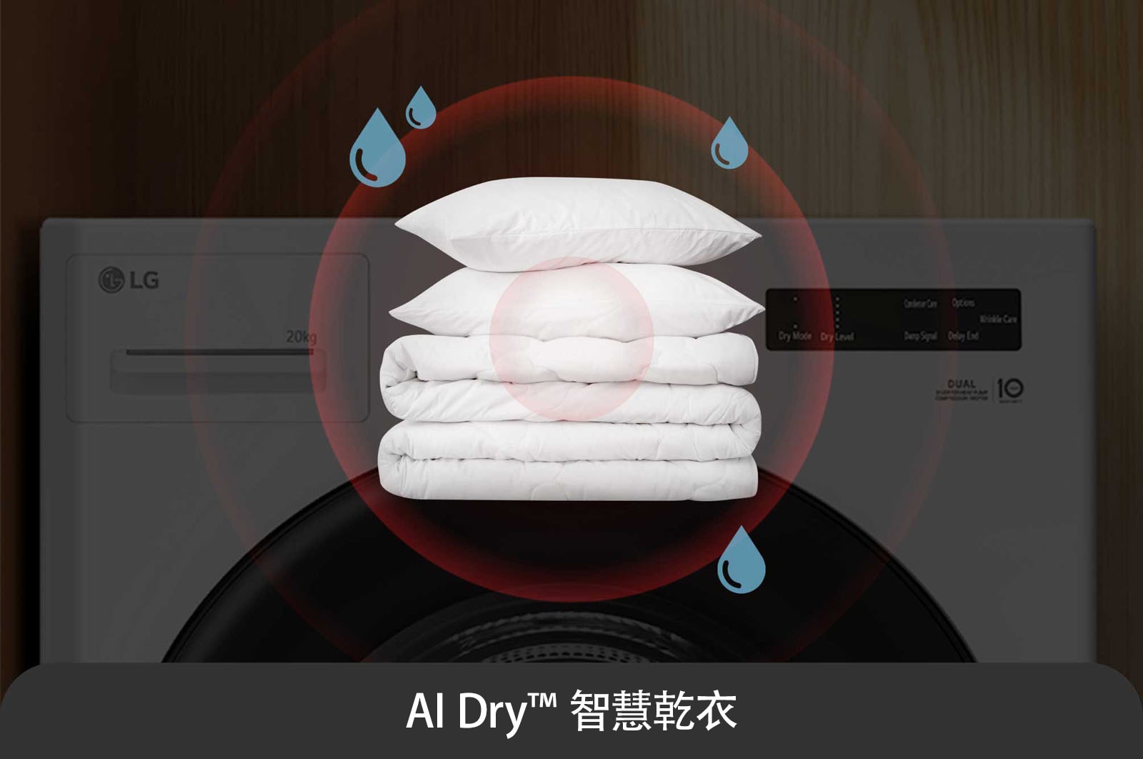 LG AI Dry™ 免曬衣乾衣機｜20公斤 (冰瓷白), WR-20DW