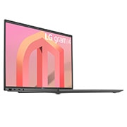 LG gram 14'' 輕贏隨型 極致輕薄筆電 - 沉靜灰(i5)(Pro)(商用), 14Z90Q-G