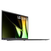 LG gram 17" Windows 11 Home 極致輕薄 AI 筆電 - 沉靜灰  (Intel<sup>®</sup> Core™ Ultra 7 Evo), 17Z90S-G