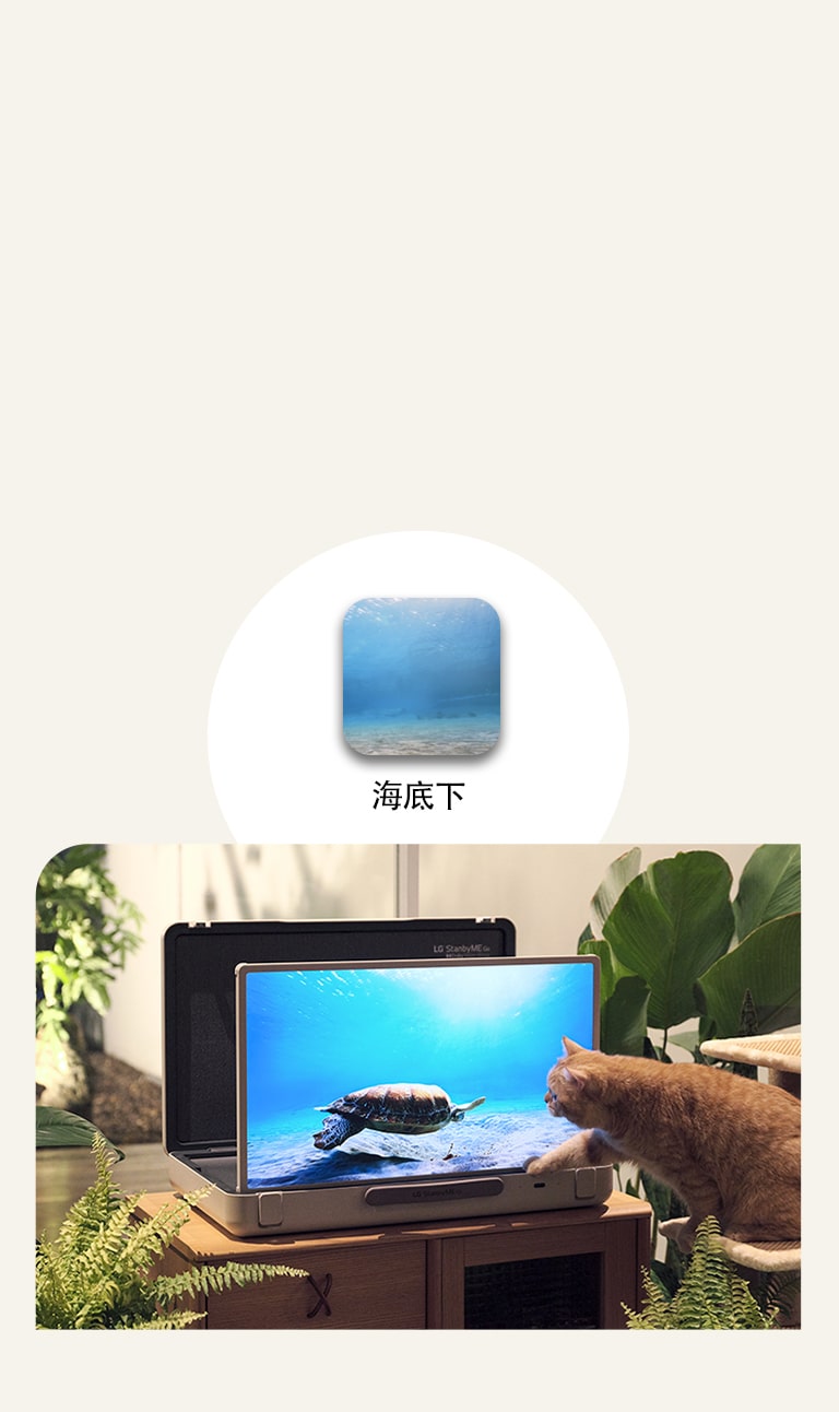 LG StanbyME閨蜜機 Go 放置於花園內，螢幕顯示海底下畫面。在螢幕前方，一隻貓坐在凳子上，嘗試抓螢幕中的烏龜。