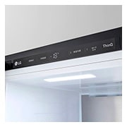 LG 324公升 Objet Collection<sup>®</sup> 智慧變頻單門冰箱|直立式冷凍櫃|可更換門片顏色, GC-FL40BE