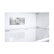 LG 375公升智慧變頻雙門冰箱|香草白, GN-L372BEN