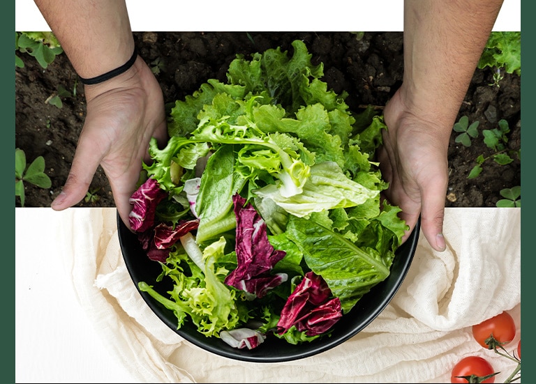 The top part of the image is harvesting lettuce from the field. The bottom part of the image is a fresh salad in a round plate. The vegetables in these two images are naturally connected as if they were one image.